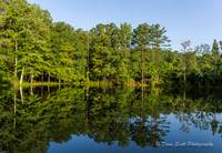 Line Creek Park - PTC-00022