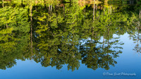 Line Creek Park - PTC-0008