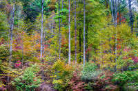 DSC00893-2_HDR