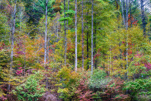 DSC00893-2_HDR