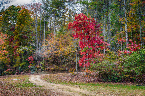 DSC00896-2_HDR