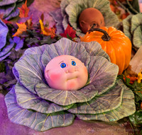 Babyland General -  Cabbage Patch Dolls