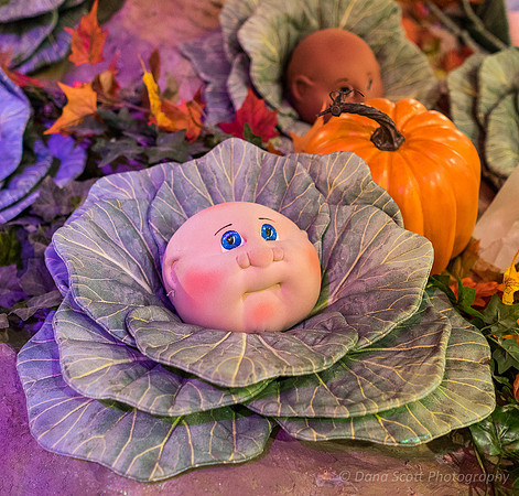 Babyland General -  Cabbage Patch Dolls