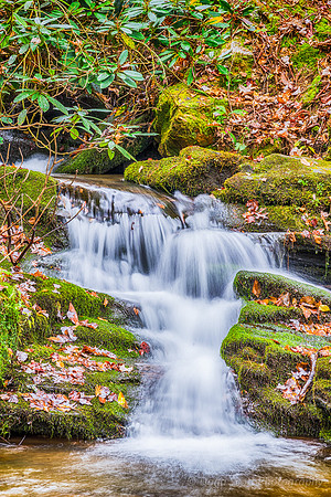 DSC00887-2_HDR