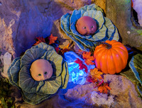 Babyland General -  Cabbage Patch Dolls