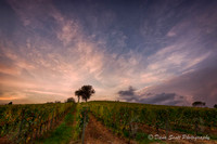 Italy--8
