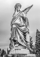 _DSC7451