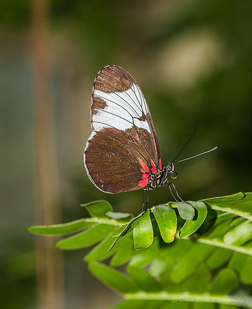 _DSC0999-Edit