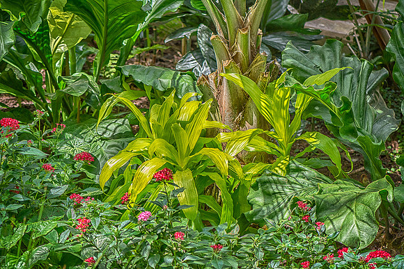 _DSC0960_HDR