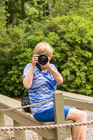 _DSC0533