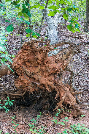 Providence State Park-5183