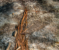 Line Creek Park - PTC--5