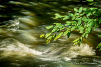 Line Creek Park - PTC--6