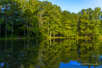 Line Creek Park - PTC-