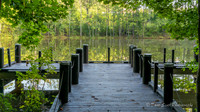 Line Creek Park - PTC-0006