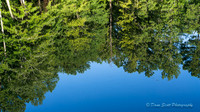 Line Creek Park - PTC-0007