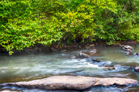 _DSC0446